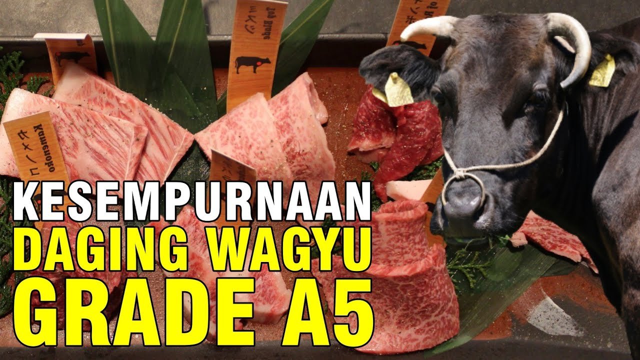 
                                 Daging-Wagyu-A5-Dari-Sapi-Kobe-Eksklusif-Di-Jepang